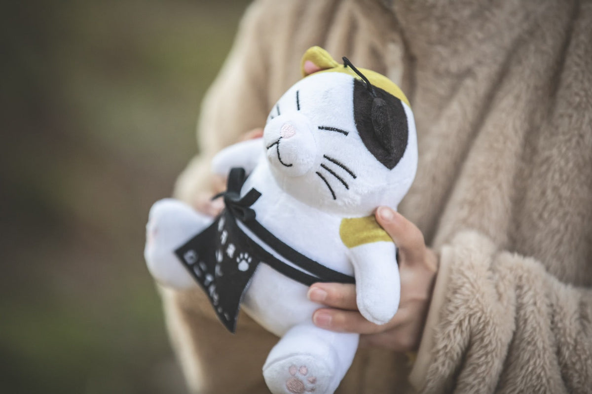 MINI TENTYO – VENTLAX