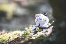 画像をギャラリービューアに読み込む, MINI TENTYO - VENTLAX